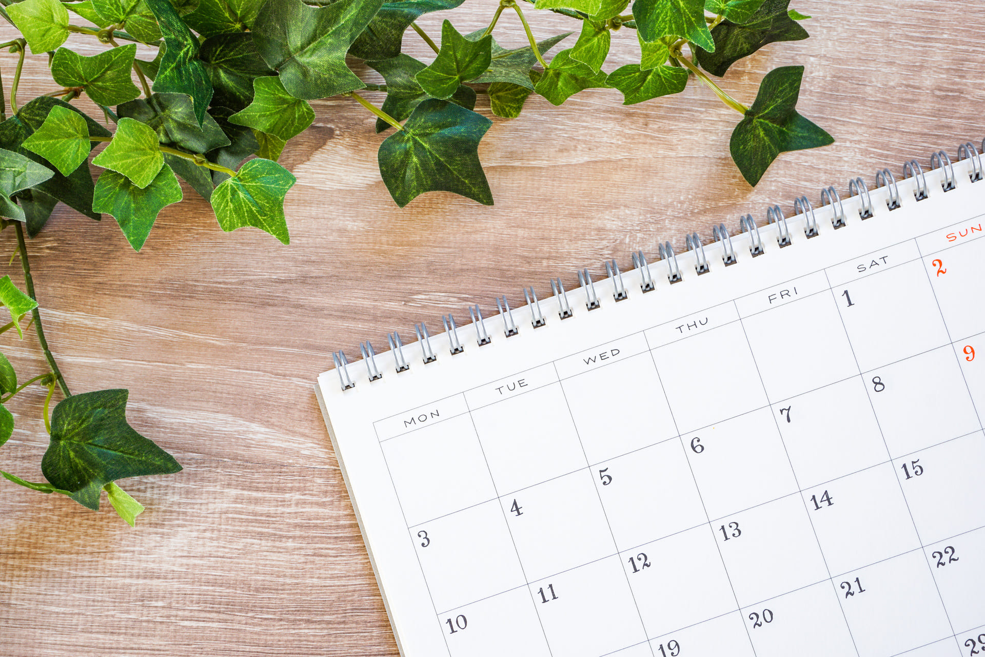 AdobeStock_53706942 (1)